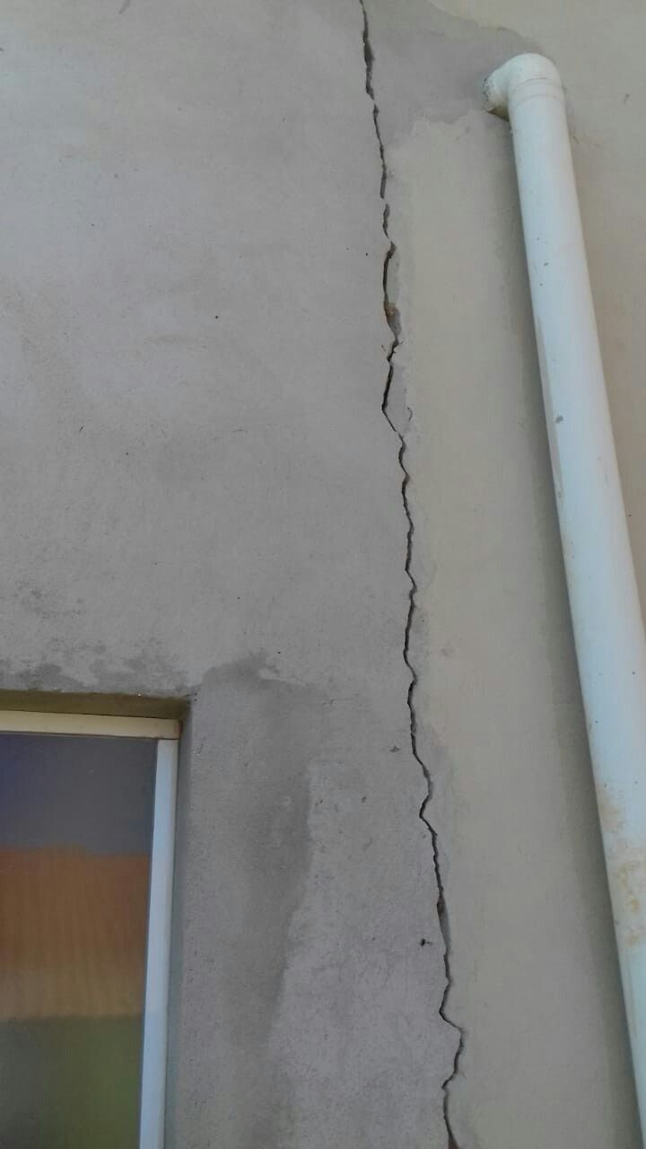 شركة مكافحة نمل أبيض في دبي