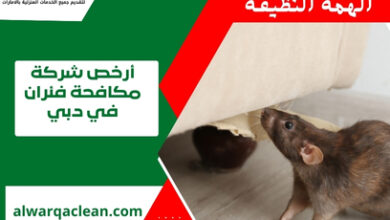 أرخص شركة مكافحة فئران في دبي