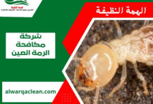 شركة مكافحة الرمة في العين
