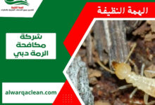 شركة مكافحة الرمة دبي