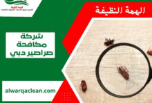شركة مكافحة صراصير دبي