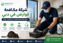 شركة مكافحة قوارض في دبي