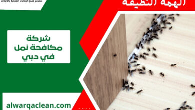 شركة مكافحة نمل في دبي