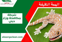 شركة مكافحة الوزغ في دبي