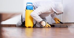 شركة مكافحة وزغ دبي