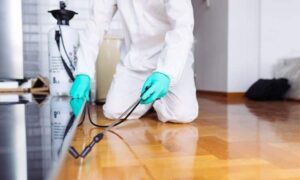 شركة تعقيم رأس الخيمة