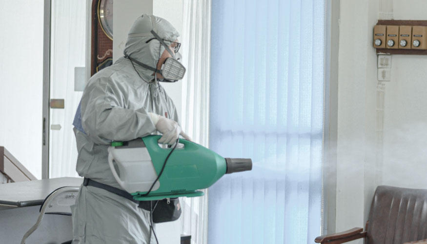 أرخص شركة مكافحة حشرات في العين