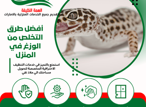 أفضل طرق التخلص من الوزغ في المنزل