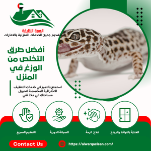 أفضل طرق التخلص من الوزغ في المنزل