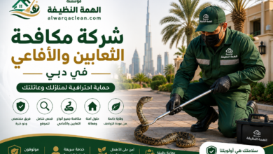 شركة مكافحة الثعابين والأفاعي في دبي