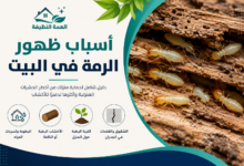 أسباب ظهور الرمة في البيت