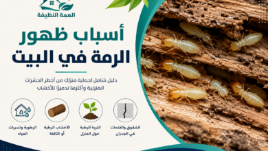أسباب ظهور الرمة في البيت