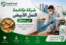 شركة مكافحة النمل الابيض في عجمان
