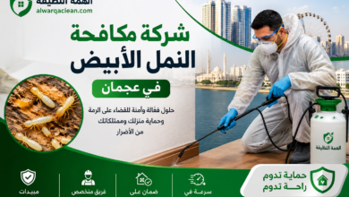 شركة مكافحة النمل الابيض في عجمان