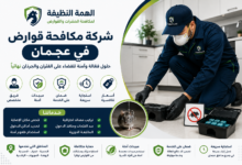 شركة مكافحة قوارض في عجمان